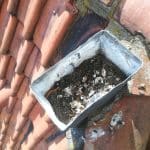 Blikfacade og tagrendeexperten